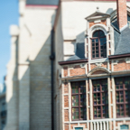 lightflow-belgien 29_.jpg