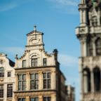 lightflow-belgien 50_.jpg