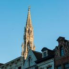 lightflow-belgien 12_.jpg