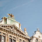 lightflow-belgien 30_.jpg