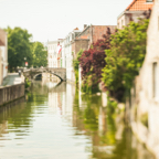 lightflow-belgien 65_.jpg