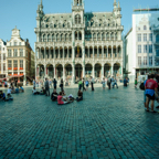 lightflow-belgien 6_.jpg