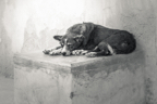 lightflow-india-sw (13 von 200).jpg