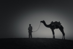 lightflow-india-sw (38 von 200).jpg