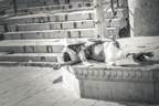 lightflow-india-sw (97 von 200).jpg
