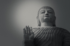 lightflow-india-sw (121 von 200).jpg