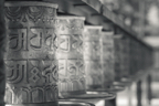 lightflow-india-sw (124 von 200).jpg