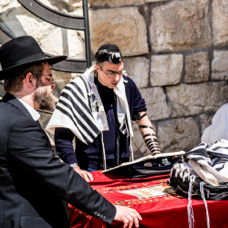lightflow-israel-palaestina 150_.jpg