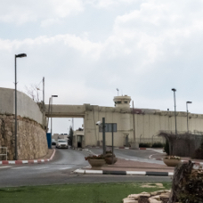 lightflow-israel-palaestina 104_.jpg