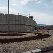 lightflow-israel-palaestina 107_.jpg