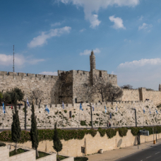 lightflow-israel-palaestina 110_.jpg