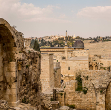 lightflow-israel-palaestina 112_.jpg