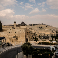 lightflow-israel-palaestina 113_.jpg