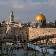 lightflow-israel-palaestina 114_.jpg