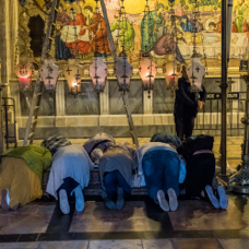 lightflow-israel-palaestina 131_.jpg