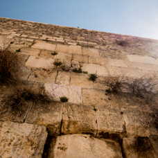 lightflow-israel-palaestina 141_.jpg