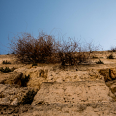 lightflow-israel-palaestina 144_.jpg