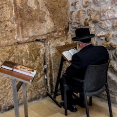 lightflow-israel-palaestina 153_.jpg