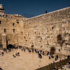 lightflow-israel-palaestina 159_.jpg