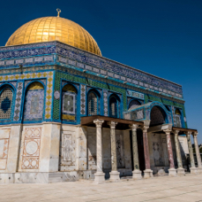 lightflow-israel-palaestina 161_.jpg