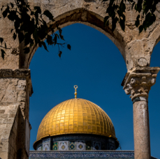 lightflow-israel-palaestina 162_.jpg