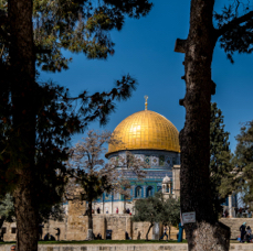 lightflow-israel-palaestina 163_.jpg