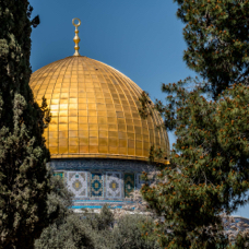 lightflow-israel-palaestina 164_.jpg