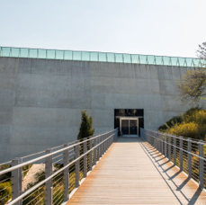 lightflow-israel-palaestina 170_.jpg