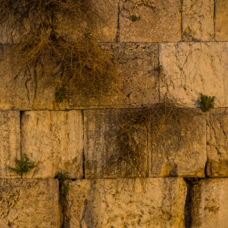lightflow-israel-palaestina 188_.jpg