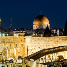 lightflow-israel-palaestina 189_.jpg