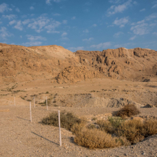 lightflow-israel-palaestina 63_.jpg