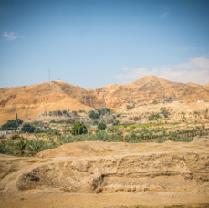 lightflow-israel-palaestina 89_.jpg