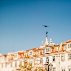 lightflow-portugal 14_.jpg