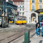lightflow-portugal 26_.jpg