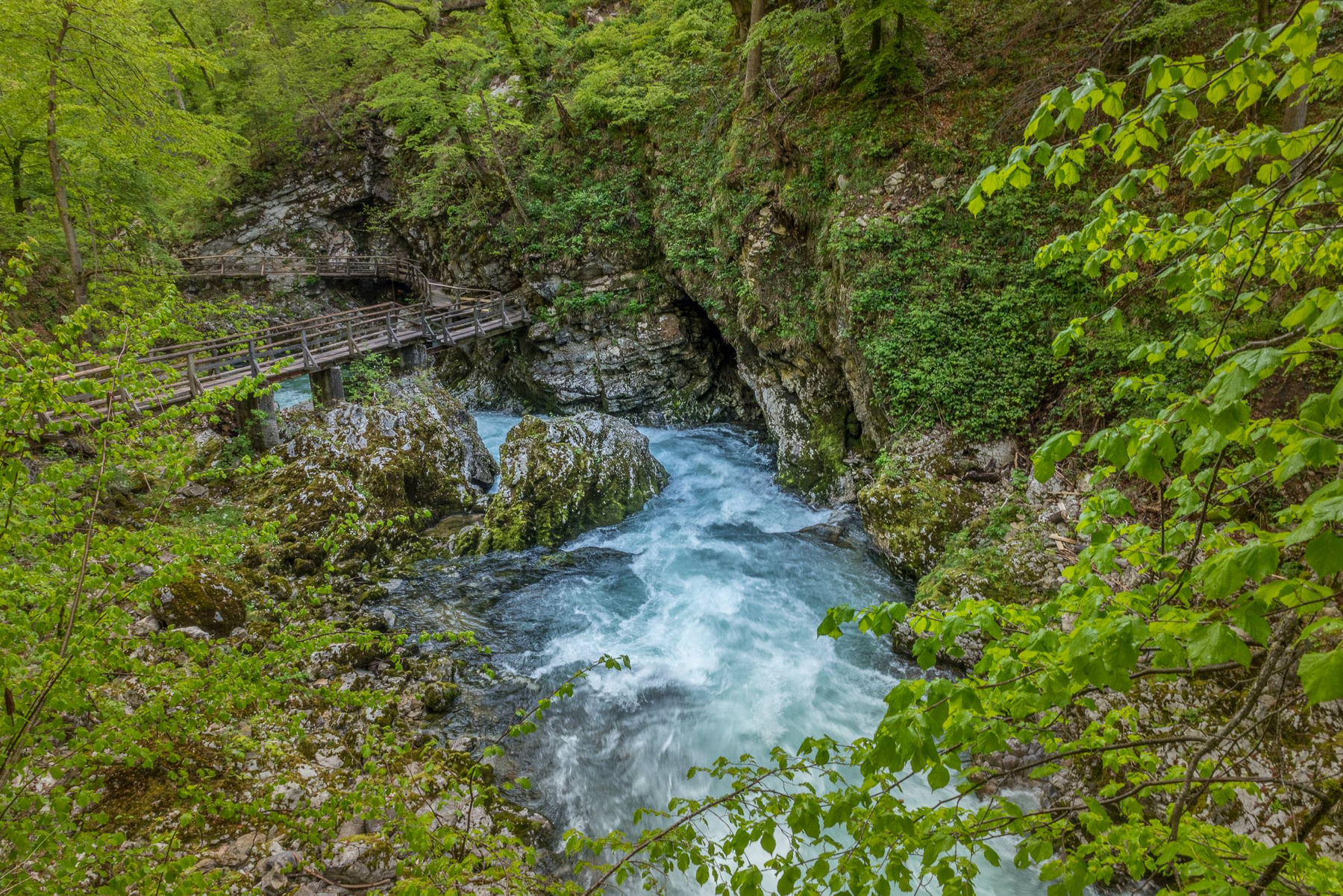 slowenien (13 von 77).jpg