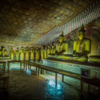 lightflow-srilanka 104_.jpg