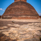 lightflow-srilanka 27_.jpg