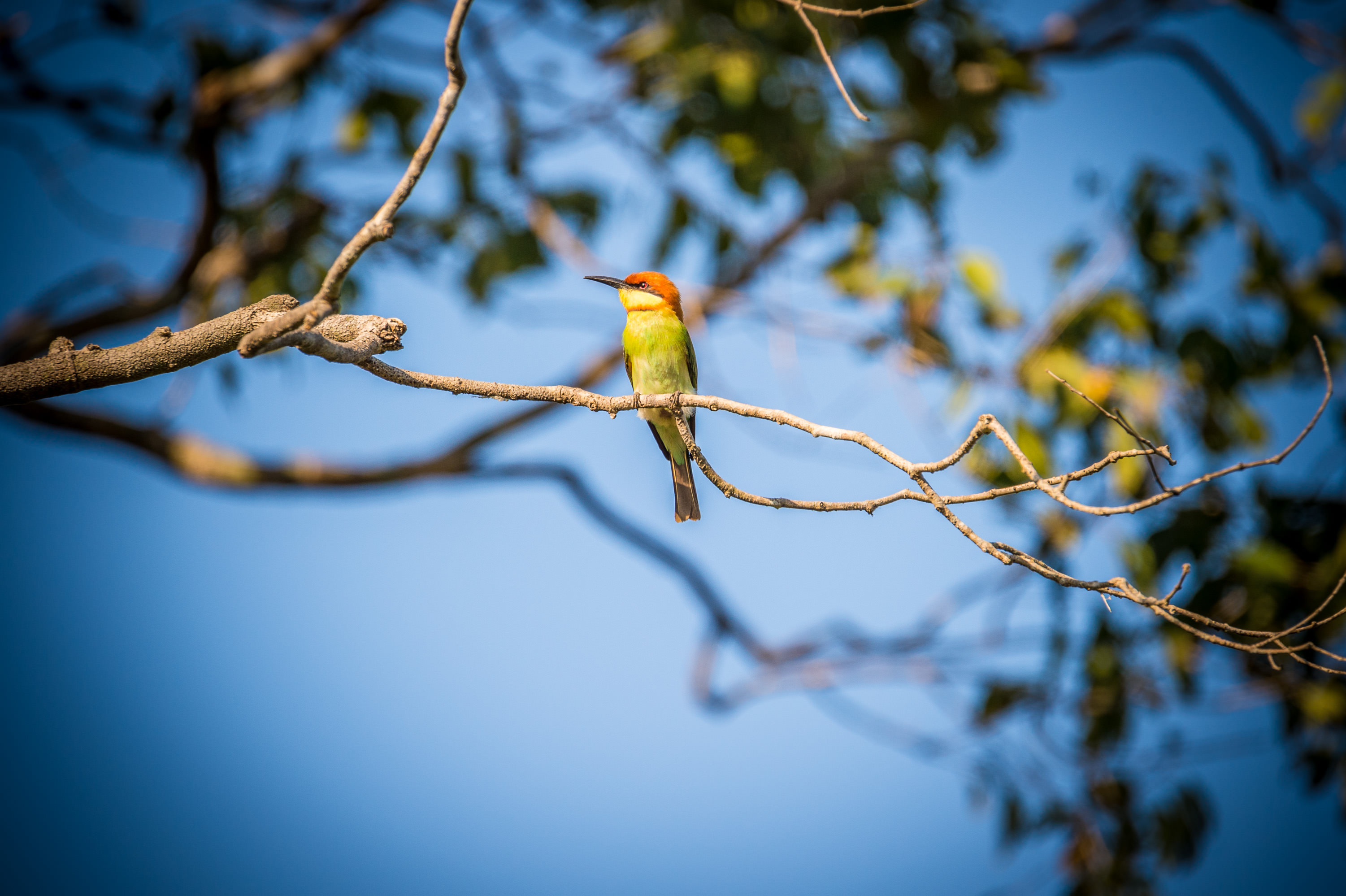 lightflow-srilanka 38_.jpg