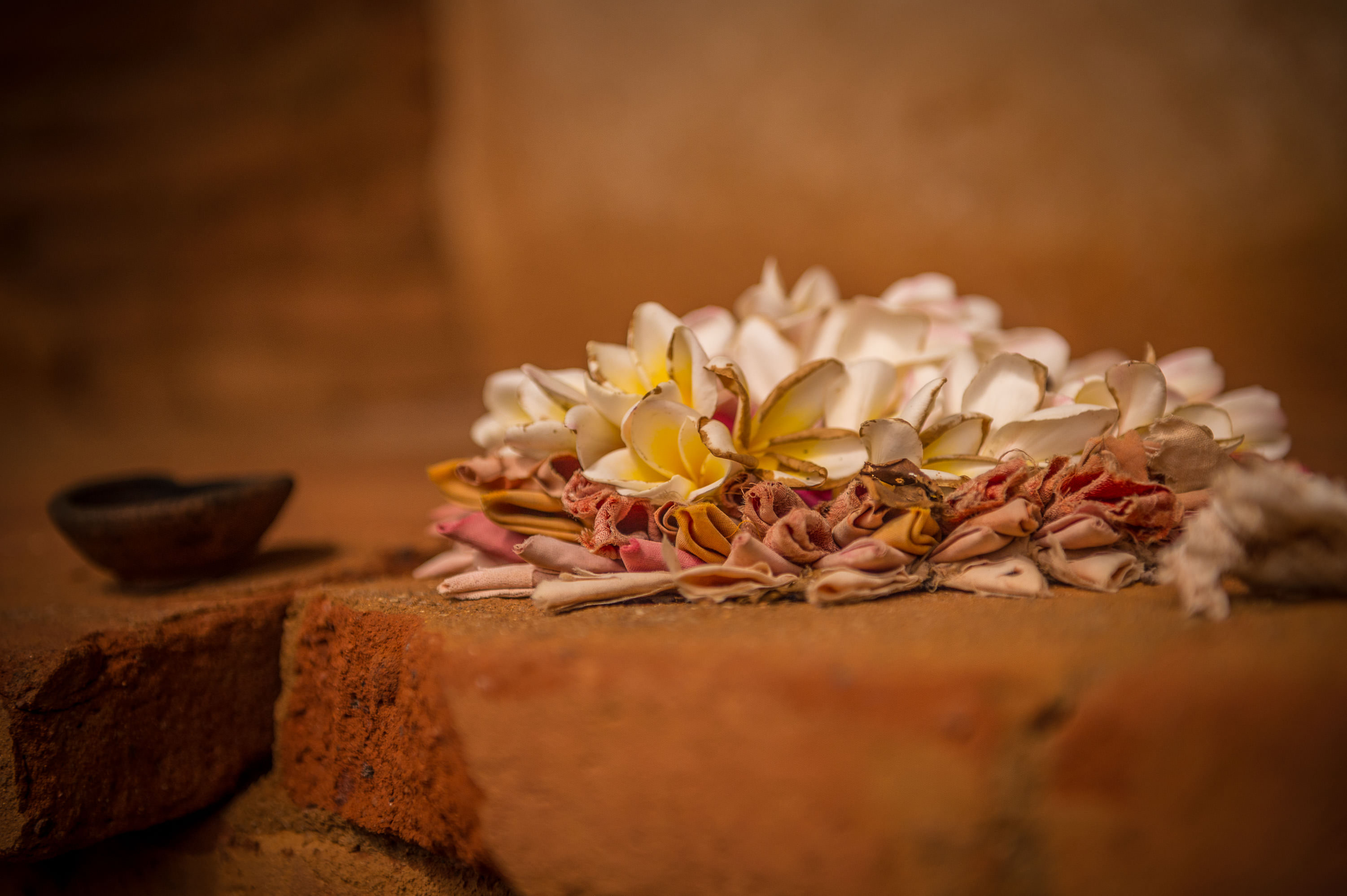 lightflow-srilanka 85_.jpg