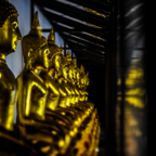 lightflow-thailand 19_.jpg