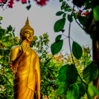 lightflow-thailand 20_.jpg