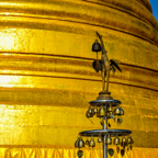 lightflow-thailand 21_.jpg