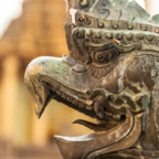 lightflow-thailand 36_.jpg