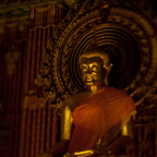 lightflow-thailand 45_.jpg
