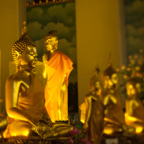 lightflow-thailand 46_.jpg