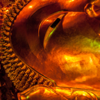 lightflow-thailand 49_.jpg