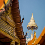 lightflow-thailand 5_.jpg