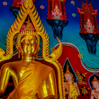 lightflow-thailand 9_.jpg