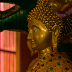 lightflow-thailand- 114_.jpg