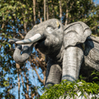 lightflow-thailand- 117_.jpg